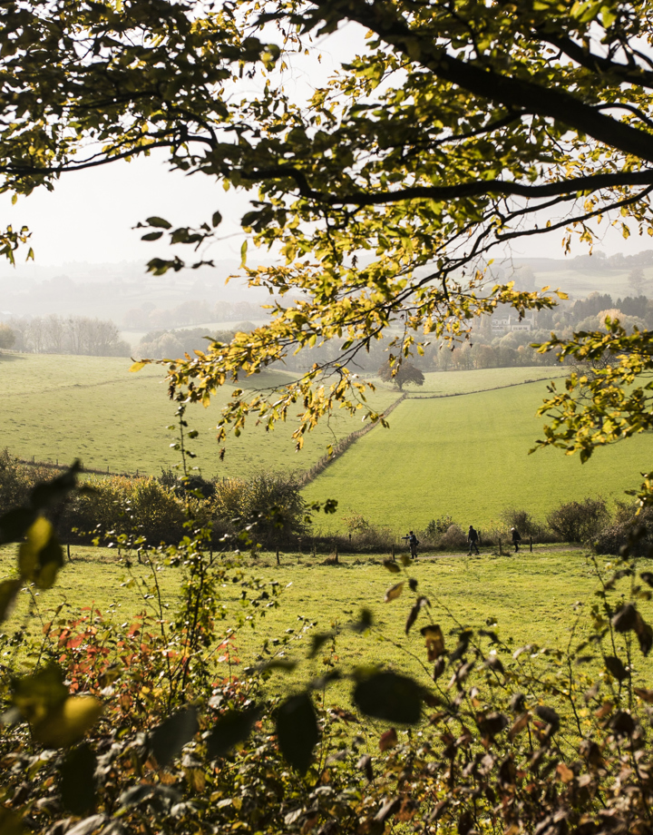 Het heuvellandschap gezien door een doorkijkje tussen de bomen