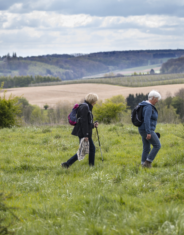 Twee wandelaars lopen door een wei met uitzicht over het Heuvellandschap