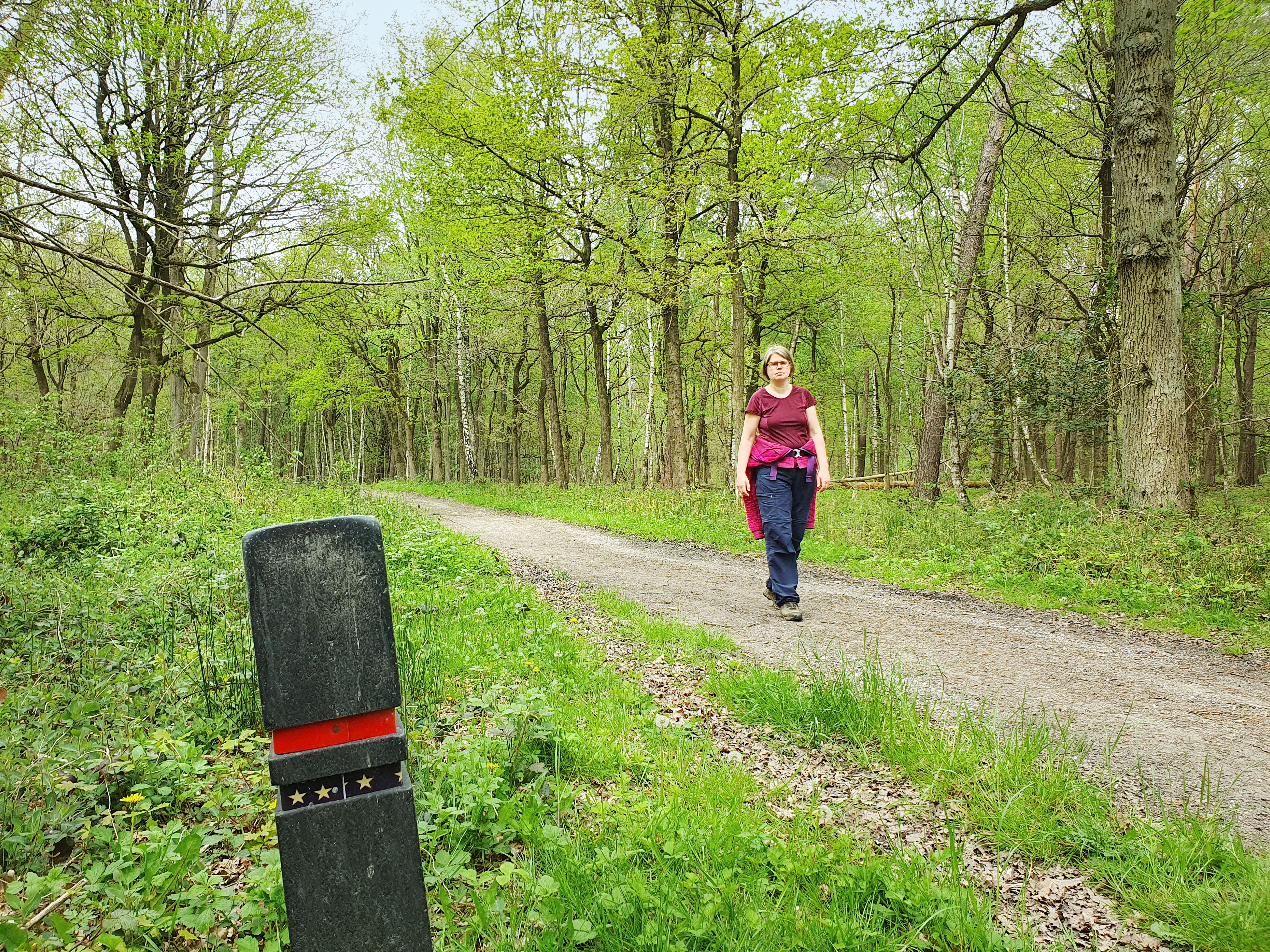Wandelboswachter Ellen
